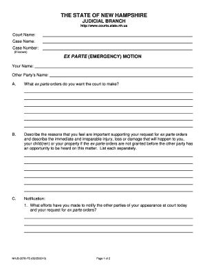 New Hampshire Ex Parte Emergency Motion Form