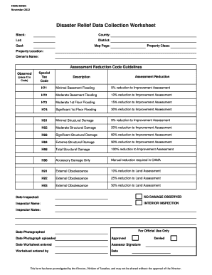 Disaster Relief Data Collection Worksheet