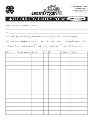 Form preview picture