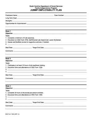 South Carolina Employability Plan