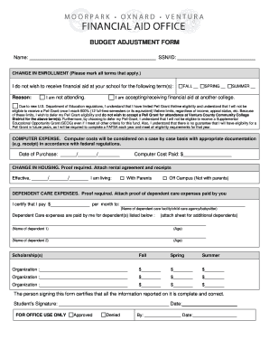 Budget Adjustment Form