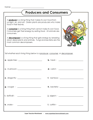 Producers and Consumers Worksheet
