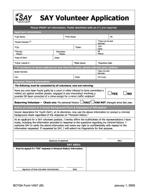 SAY Volunteer Application Form