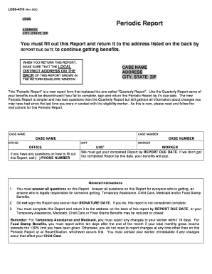 LDSS-4310 Periodic Report