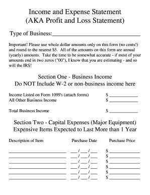 Income and Expense Statement