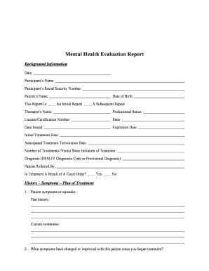 Mental Health Evaluation Report