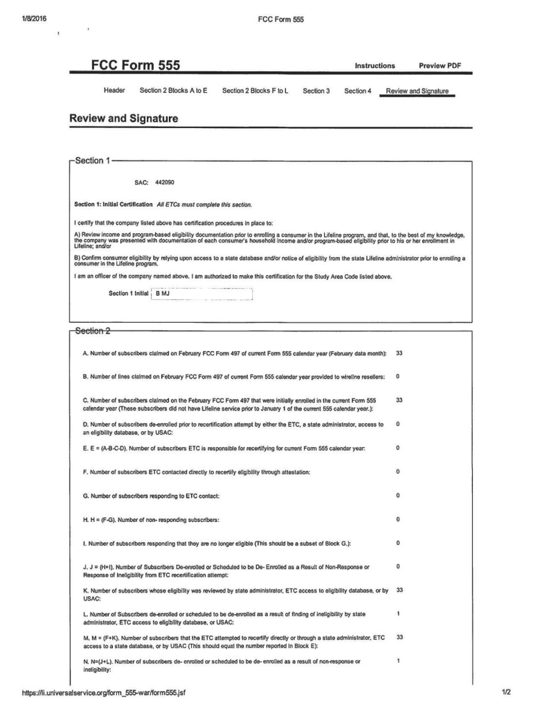 Form preview
