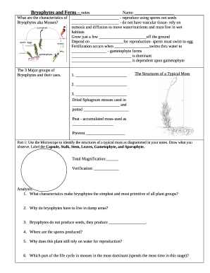 Bryophytes and Ferns - notesName: