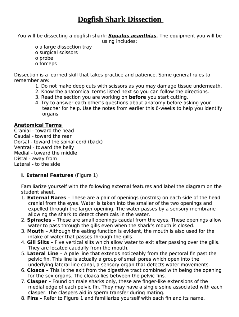 Shark Dissection Kit, dogfish shark specimen w/tray Doc Template