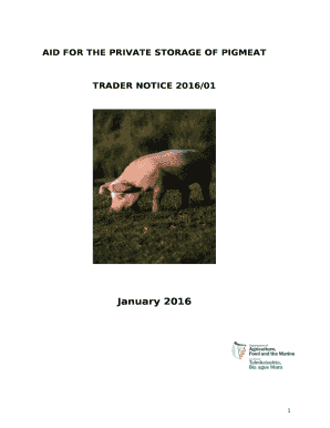 Federal Grants to State and Local Governments: A ... - FAS.org