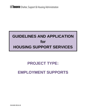 Strategies for Improving Homeless People's ... - HUD User