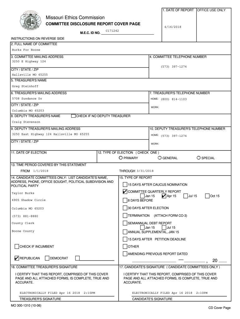 Form preview