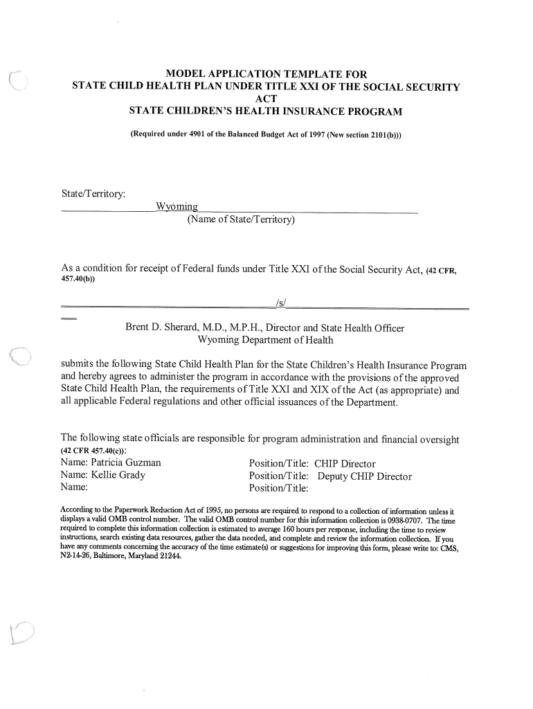 Fillable Online MODEL APPLICATION TEMPLATE FOR STATE CHILD HEALTH PLAN