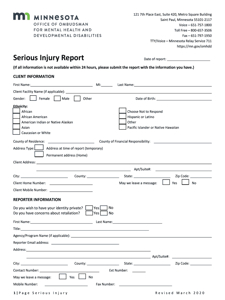 Serious Injury Review Form - Minnesota Preview on Page 1