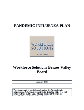 Workforce Solutions Bravos Valley Board