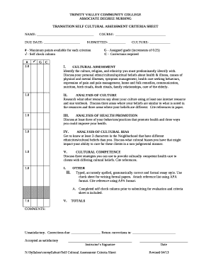 Self Cultural Assessment Criteria Sheet - Studylib