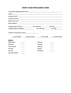 WORK TEAM PROCESSING FORM