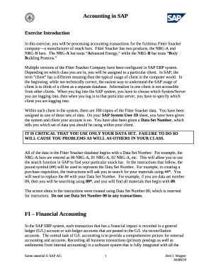 Hands on exercise on SAP Accounting.doc - Accounting in ...