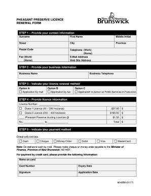 Form preview