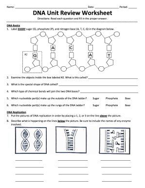 Fillable Online DNA Unit Review Worksheet Updated 2015 2016 Fax Email