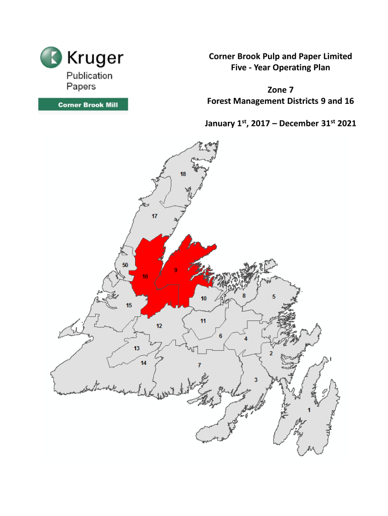 Fillable Online Corner Brook Pulp and Paper Limited Five Year