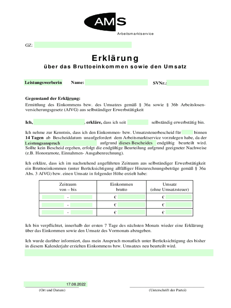 erklärung über das bruttoeinkommen sowie den umsatz Preview on Page 1