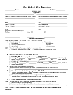 Child Support Order Form