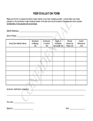 Peer Evaluation Form