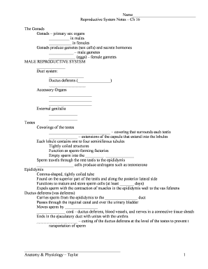 Reproductive System Notes