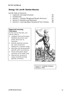 Biology 13A Lab 6 Skeletal Muscles - gcisd-k12