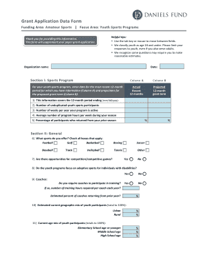 Youth Sports Grant Application Form