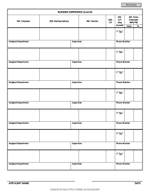 Nursing Experience Form