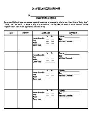 CCA Weekly Progress Report