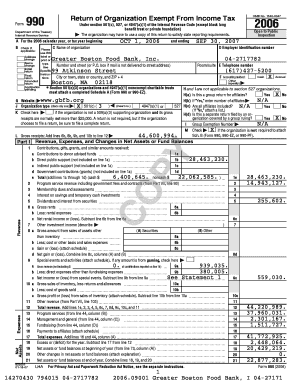 Form 990 Tax Exempt Organization Return