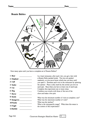 Beanie Babies Collection Experiment