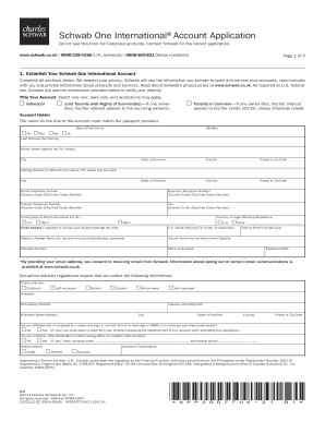 Schwab One International Account Application