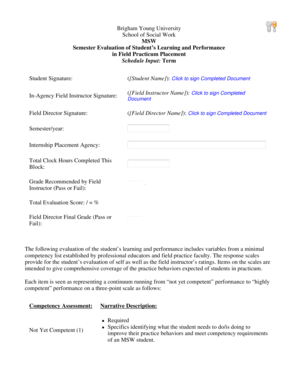MSW Field Practicum Evaluation Form