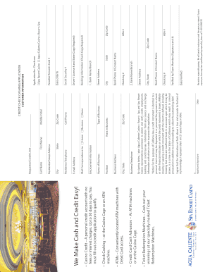 Credit/Check Cashing Application