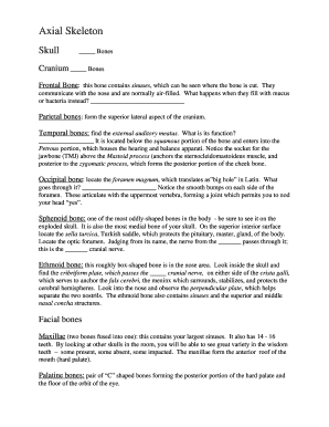 Human Skeleton Anatomy Study Guide