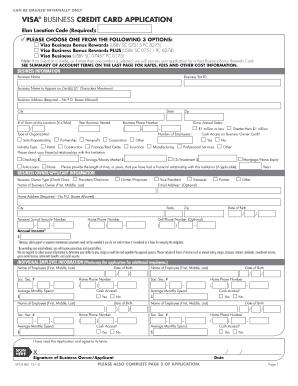 Visa Business Credit Card Application