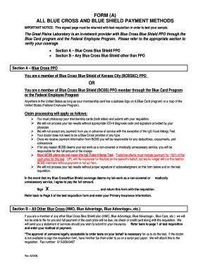 Blue Cross Blue Shield Payment Authorization Form