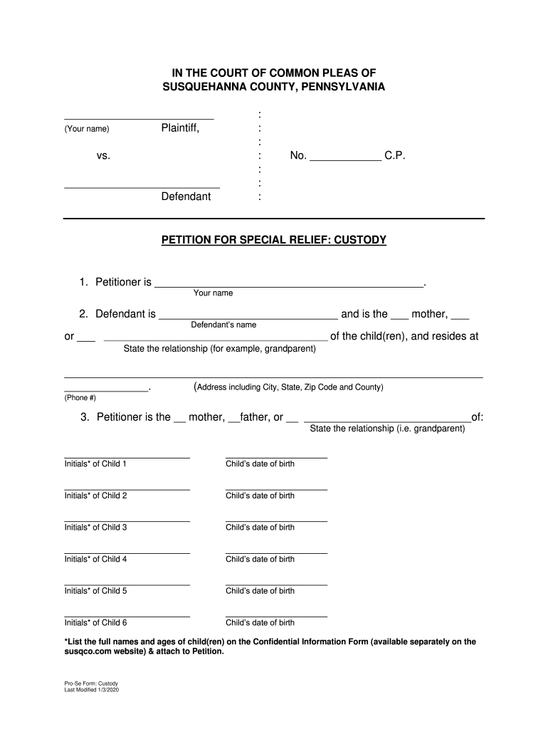 Fillable Online Petition for Special Relief in Custody Susquehanna County Fax Email Print Fillable Online Petition for Special Relief in Custody Susquehanna County Fax Email Print