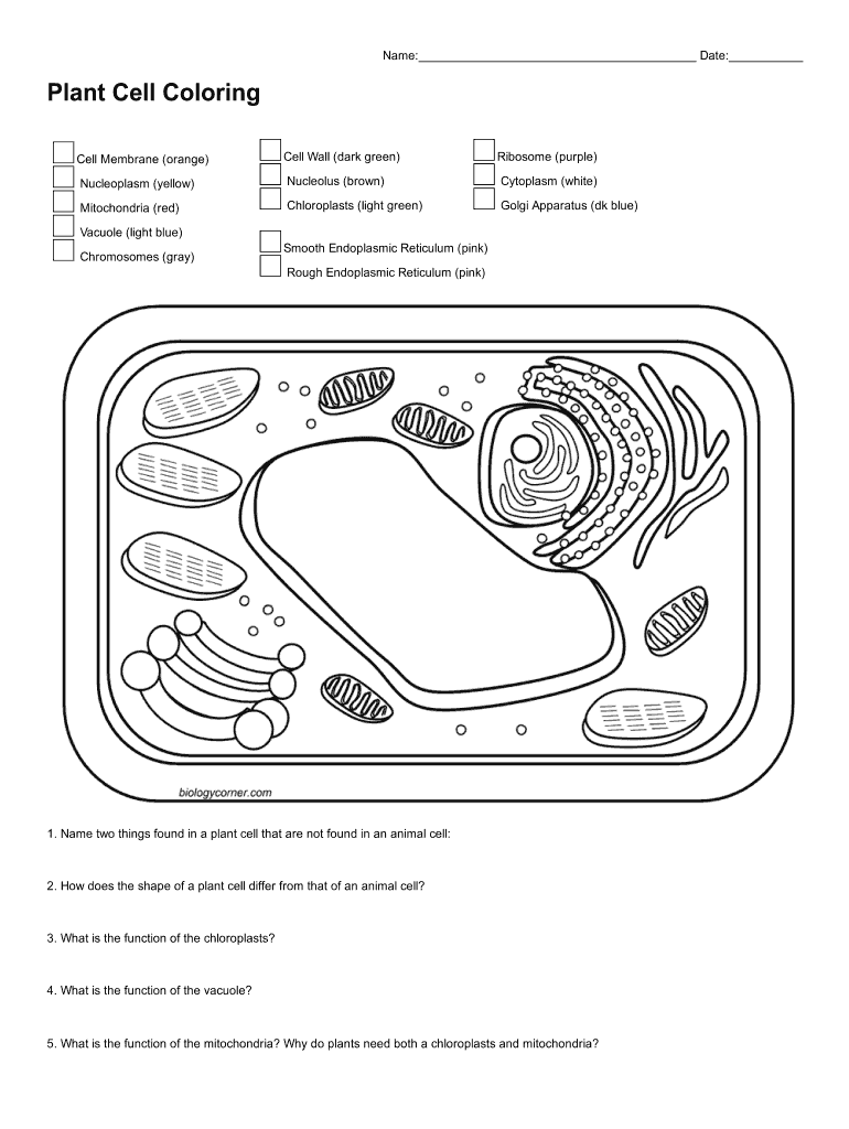 Fillable Online The Animal Cell Worksheet Fax Email Print - pdfFiller