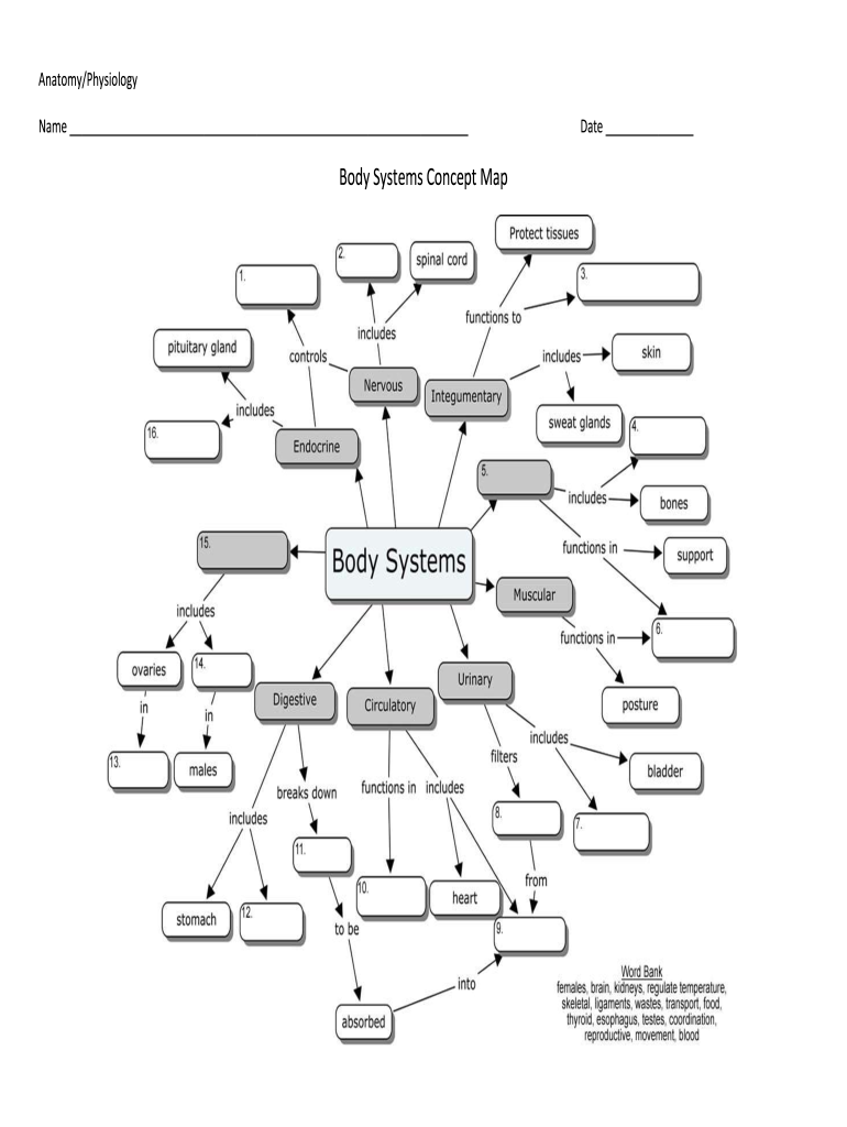 Fillable Online Body Systems Concept Map Fax Email Print pdfFiller