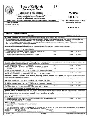 Filing For ANAMI HOLDINGS, INC.. Statement of Information