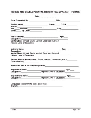 SOCIAL AND DEVELOPMENTAL HISTORY (Social Worker) FORM E