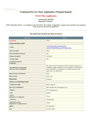 Form preview