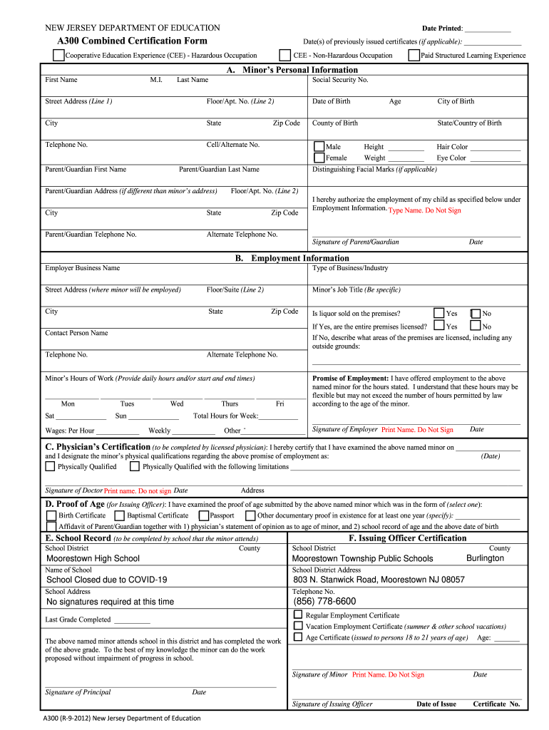 Form preview