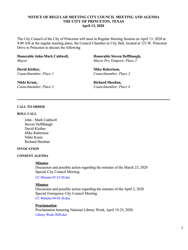 Fillable Online NOTICE OF CITY OF PRINCETON PLANNING AND ZONING