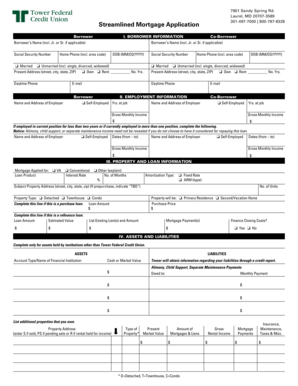 Streamlined Mortgage Application